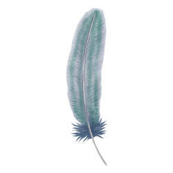 Feather-02
